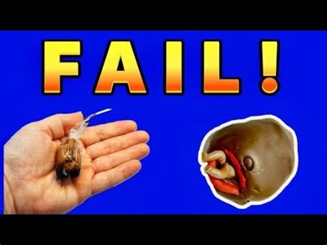 Youtube.com Fail 的图像结果