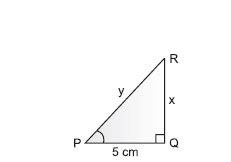 NCERT Solutions for Class 10 Maths Chapter 8 Introduction to Trigonometry