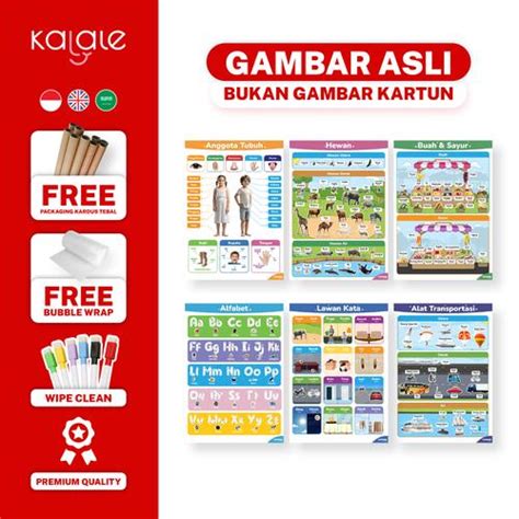 Promo GOOROO by Kalale - Poster Edukasi Anak Pendidikan Pre-School Paud ...
