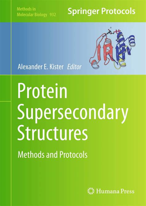 Buy Protein Supersecondary Structures: 932 (Methods in Molecular ...
