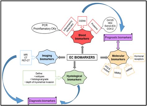 Landscape of Endometrial Cancer: Molecular Mechanisms, Biomarkers, and ...