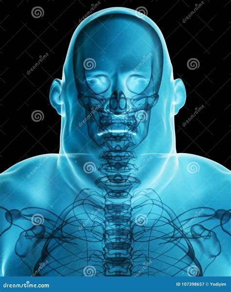 3d Illustration Male Fat X-ray Shading, Healthcare Medical Concept ...