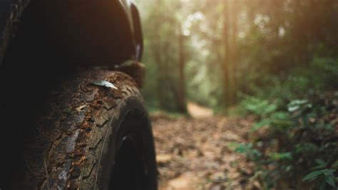 Image result for Diff Lock