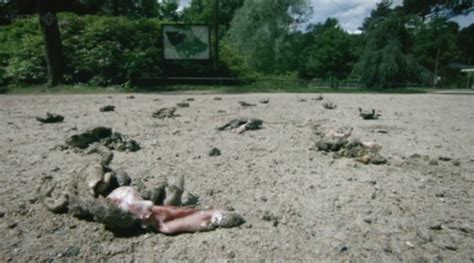 Image result for Exploding Zits On Animals