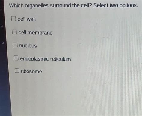 Which organelles surround the cell? Select two options.cell wallcell ...