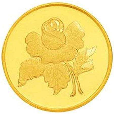 Sri Jagdamba Pearls Bis Hallmarked 0.5 Gm, 22K (916) Yellow Goddess ...