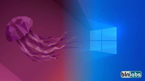 Image result for Windows/Ubuntu Dual Boot