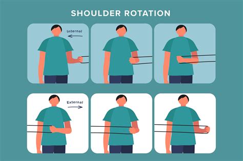 External Rotation Muscles Shoulder