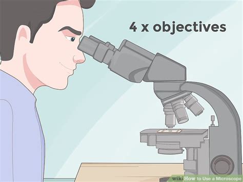 Image result for Step by Step How to Use a Microscope