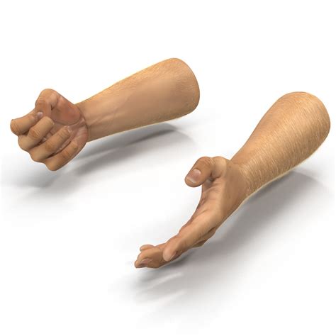 Man Hands 2 with Fur Rigged 3D | 3D Molier International