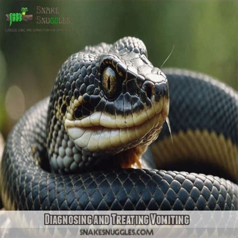 Regurgitates Python 的图像结果