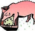 Image result for pigswill