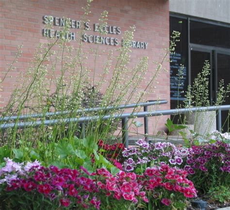 Welcoming Books (And Borrowers) Back to the Library | University of ...
