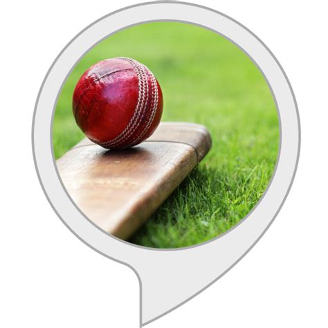Amazon.in: Krazzy cricket : Alexa Skills