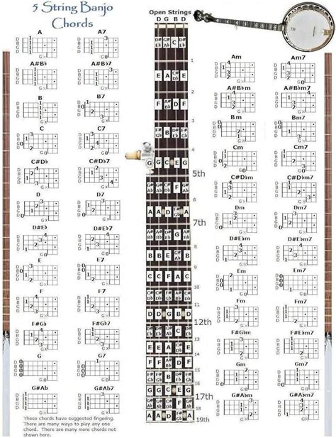 Image result for 5 String Banjo Chords