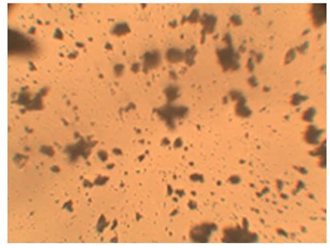 Evaluation of antifertility potential of ketoconazole and assessment of ...