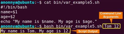 Shell Script Example 的图像结果