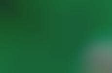 Top 100 Mobile Products in February