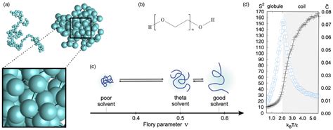 Polymeric and Polymer-Functionalized Drug Delivery Vectors: From ...