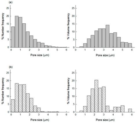 Protein Loading into Spongelike PLGA Microspheres