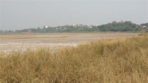 Navi Mumbai: RTI Challenges CIDCO's Claim Of Rejecting Wetland Status