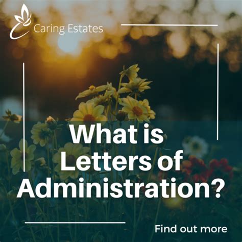 Letters of Administration Explained 的图像结果