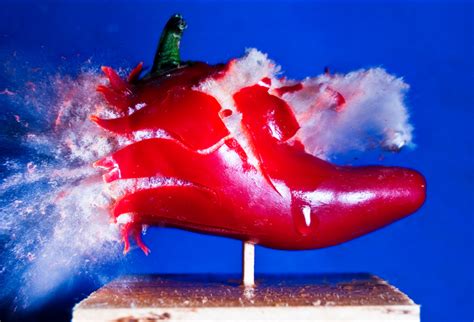 Image result for Exploding Food