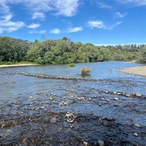 Hendy Woods State Park Campground | Mendocino, CA