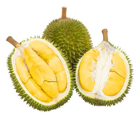 AMBIL SEKARANG