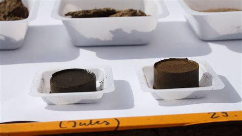 Stool That Looks Like Coffee Grounds