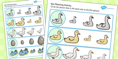 Ugly Duckling Size Matching Worksheets (teacher made)