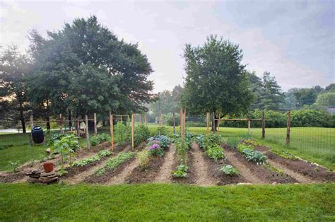 How To Make A Vegetable Garden Plan
