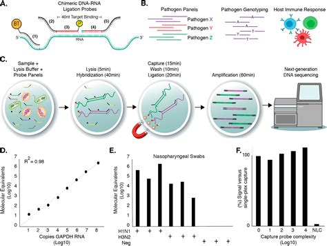 Highly multiplexed oligonucleotide probe-ligation testing enables ...