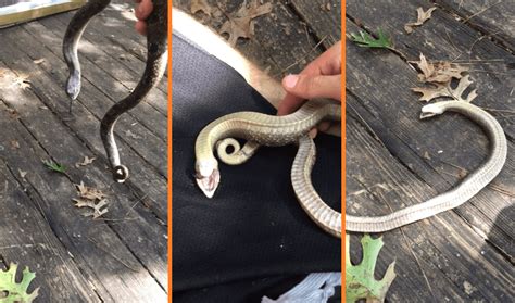 Image result for Python Backtester