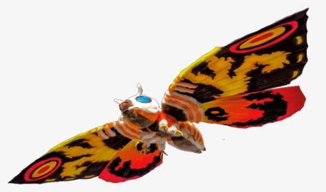 Image result for Mothra Web Browser