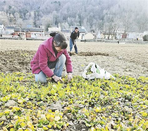 贵州黔西：春种备耕农事忙-人民图片网