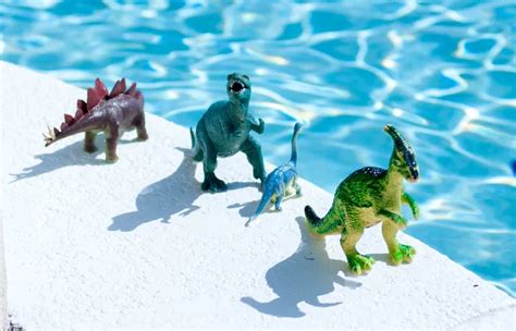 63 BEST Tips on Salt Water Pool Damaging Decks (Facts)