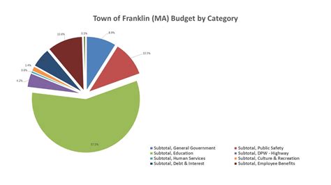 Budget Format Sample 的图像结果