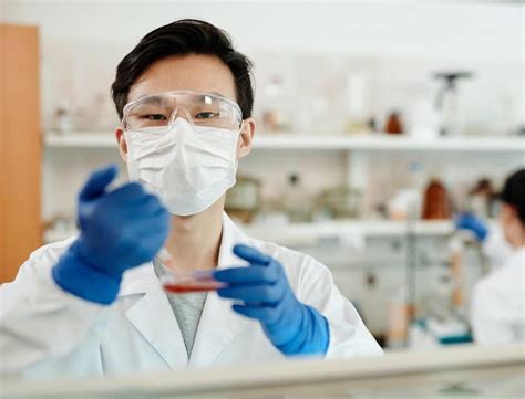 Lab Assistant 的图像结果