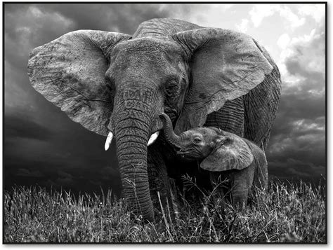 Elephant Mother and Baby Wall Art | American Signature Furniture