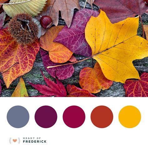 Fall Color Schemes