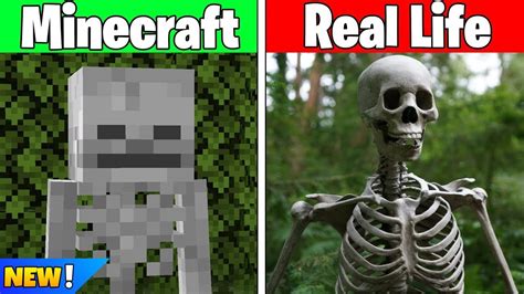 Image result for Minecraft Real