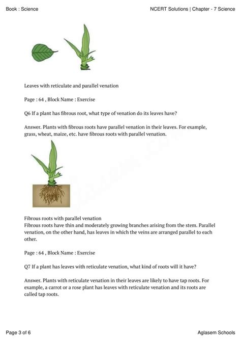 Image result for Standard Six Science Lesson Chapter Number Seven