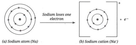 Atomic Foundations of Matter Chapter Notes - Science Class 9 New NCERT