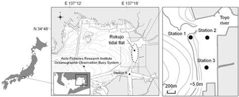 Mass Mortality of Asari Clams (Ruditapes philippinarum) Triggered by ...