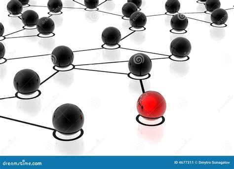 Connection 的图像结果