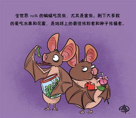 疫情冷知识【你真的了解蝙蝠吗？】|动漫|单幅漫画|禾火里予 - 原创作品 - 站酷 (ZCOOL)