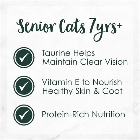 Buy Fancy Feast High Protein Senior Gravy Wet Cat Food, Chicken Feast ...