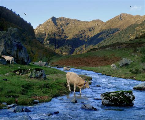 Arunachal Pradesh Cooperative Societies | Itanagar