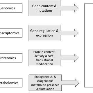 Omics Introduction 的图像结果